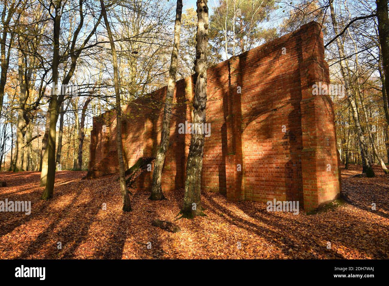 Photos for a feature on Wellesley Woodland, Aldershot - Autumn weekend walks feature. One of two WW1 Firing Walls, used for machine gun practice, Thursday 12th November 2020. Stock Photo