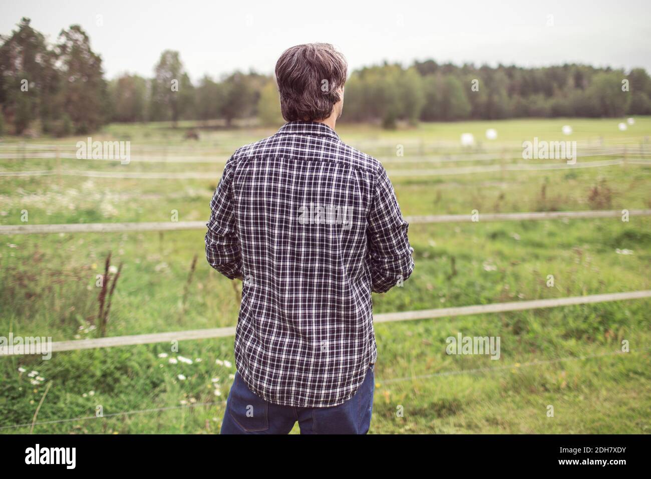 Rear view of man standing at organic farm Stock Photo