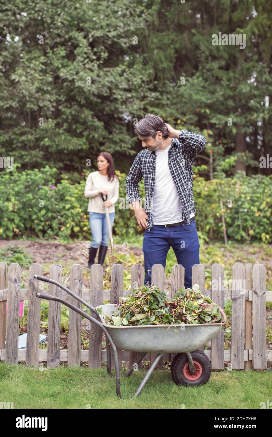 Confused farmer in front of weed wheelbarrow at organic farm Stock Photo