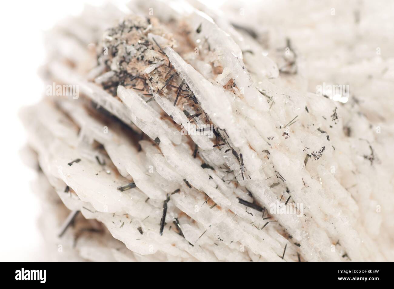 albite crystal mineral sample, a rare earth mineral Stock Photo Alamy