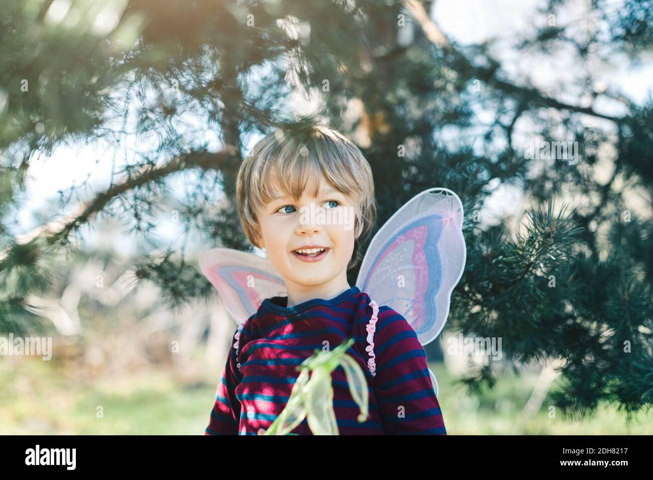 Happy boy in fairy wings looking away at yard Stock Photo