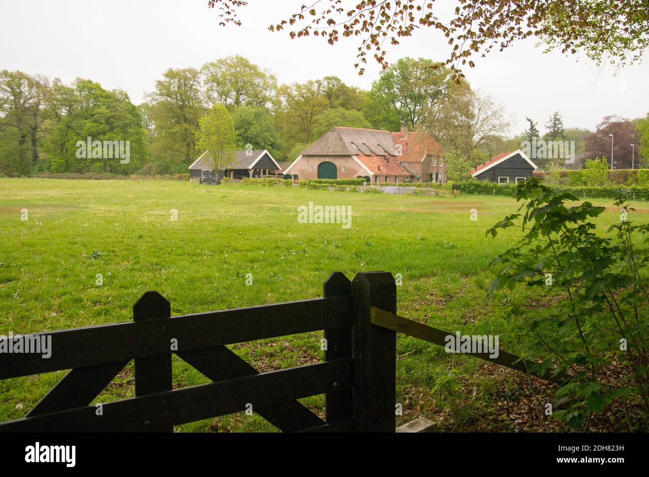 farm in summer, Netherlands, Twente Stock Photo