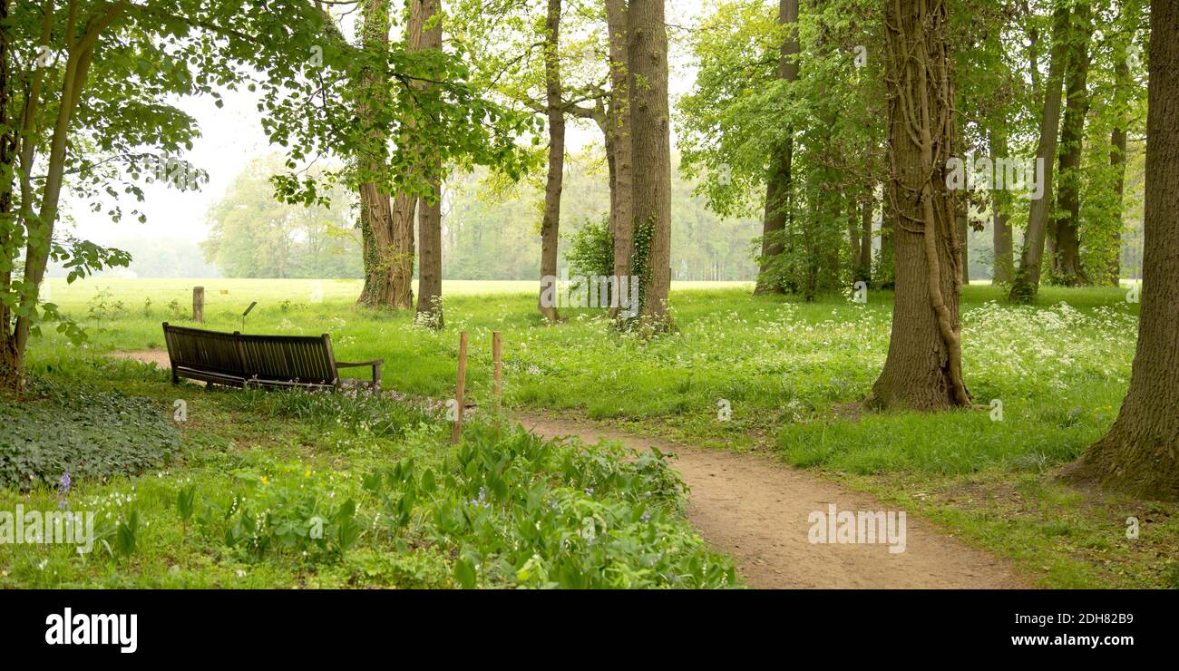 Wooden bench to sit along a small dirt road, Netherlands, Twente Stock Photo