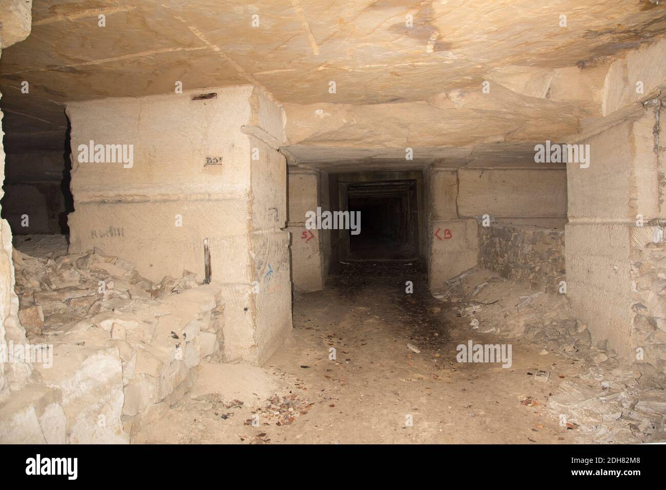 Bat Cave in a quarry, France Stock Photo