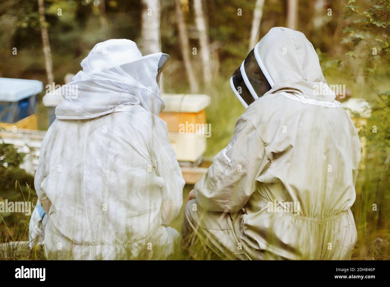 Rear view of beekeepers sitting on field Stock Photo