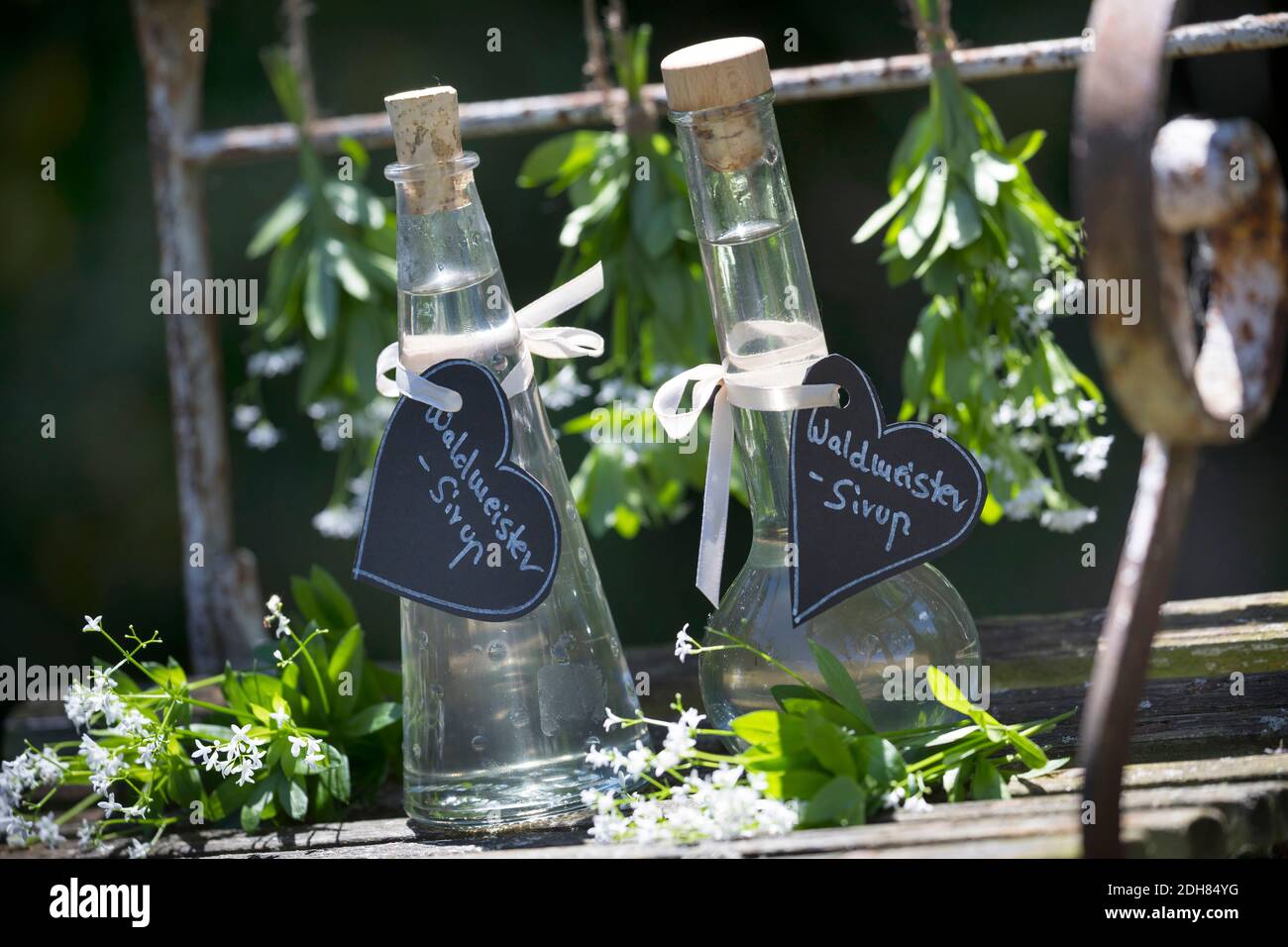 sweet woodruff (Galium odoratum), Sweet Woodruff syrup, Germany Stock