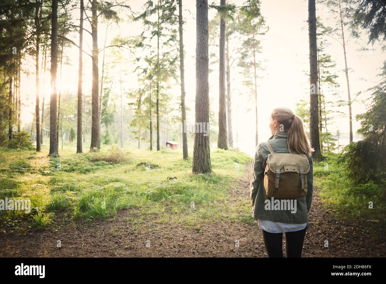 Rear view of woman looking away while standing in forest Stock Photo