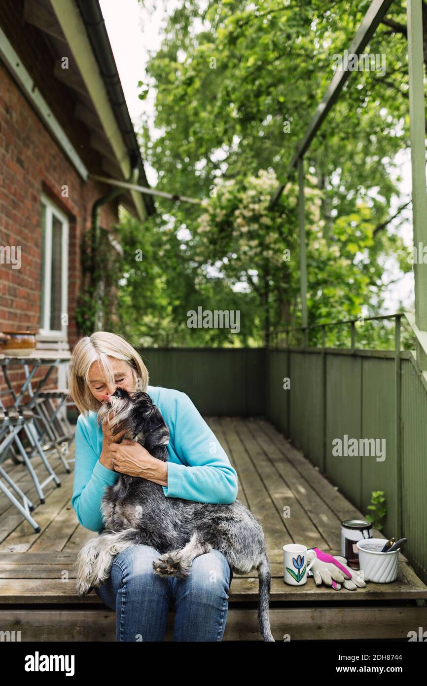 Happy senior woman kissing dog while sitting on porch Stock Photo - Alamy