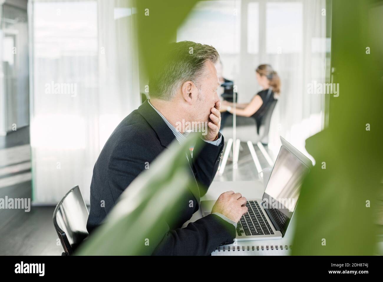 Businessman using laptop at desk Stock Photo