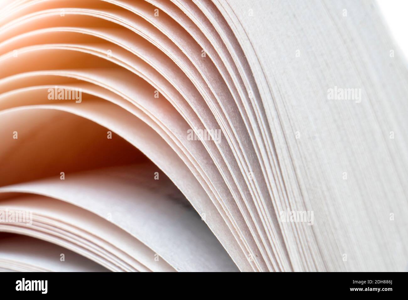 Macro shot of open book. Education and study concept. Close-up of opened book pages. Macro view of book pages. Edges of open paper book sheets close-u Stock Photo