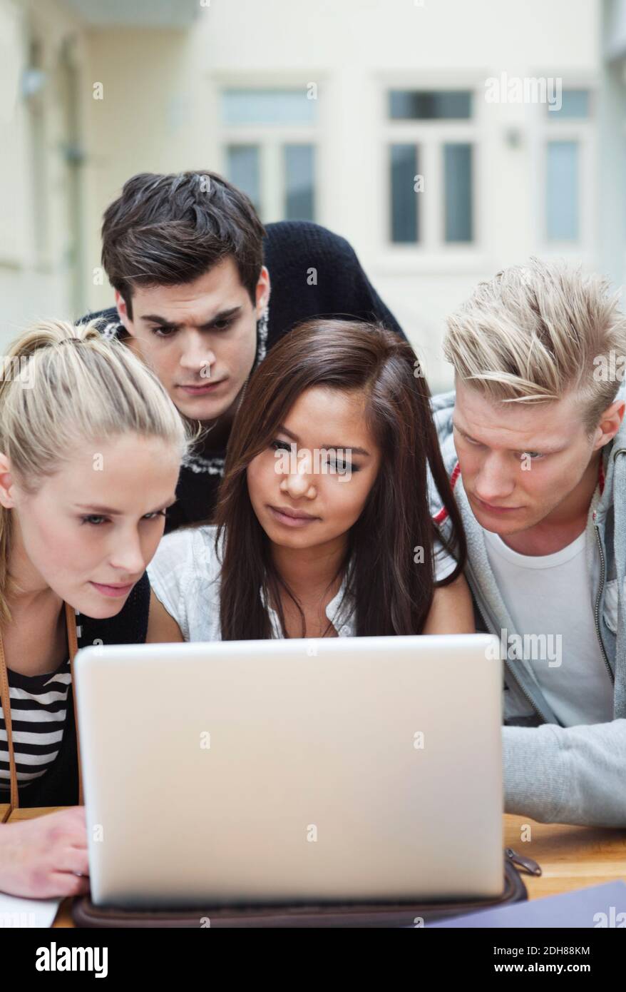 Young beautiful friends looking at laptop Stock Photo