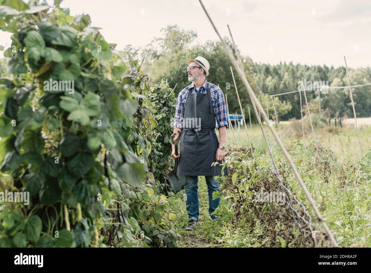 Mature farmer holding shovel and standing in farm Stock Photo - Alamy