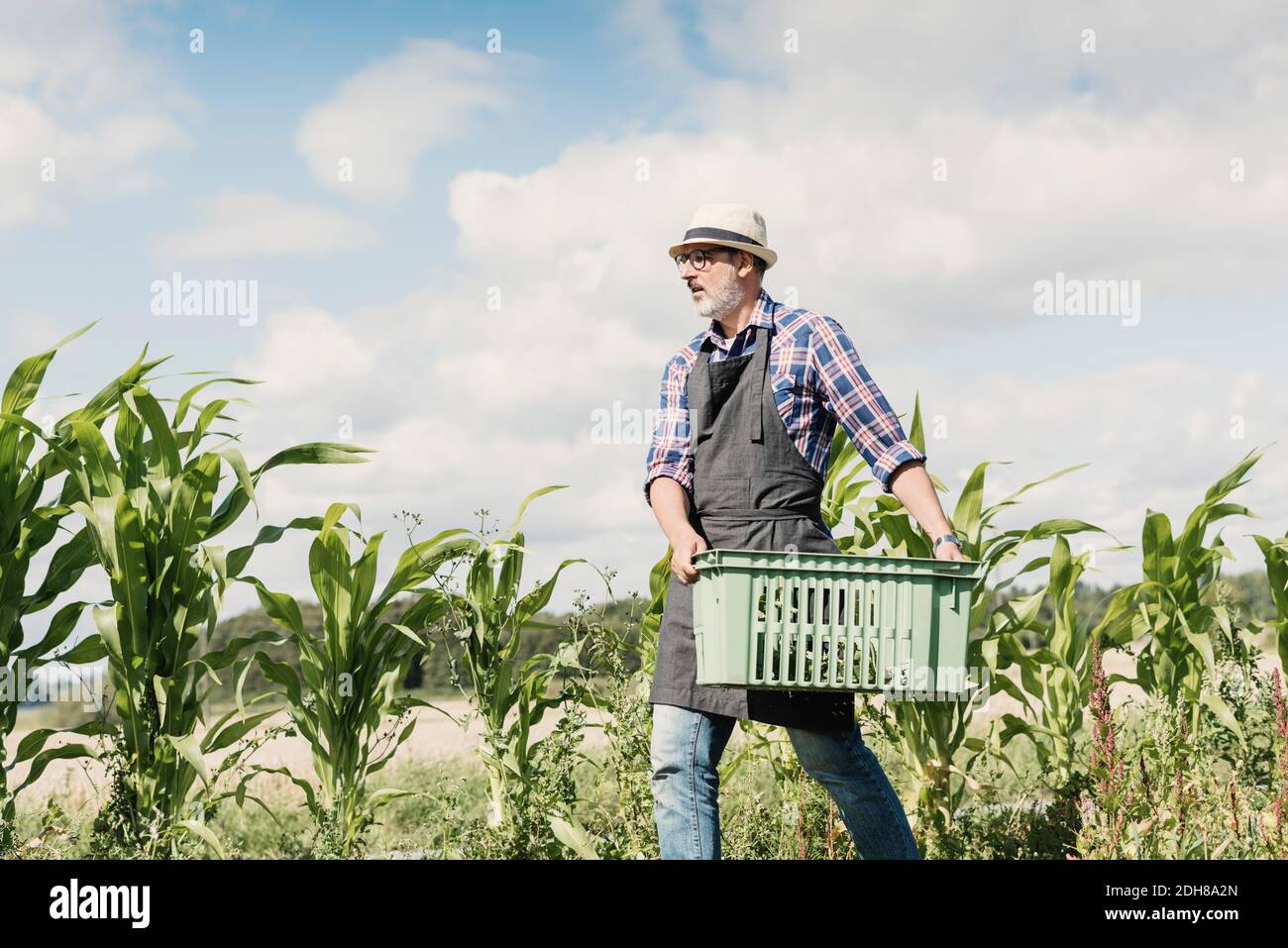 Low angle view of mature gardener carrying crate at farm against sky Stock Photo