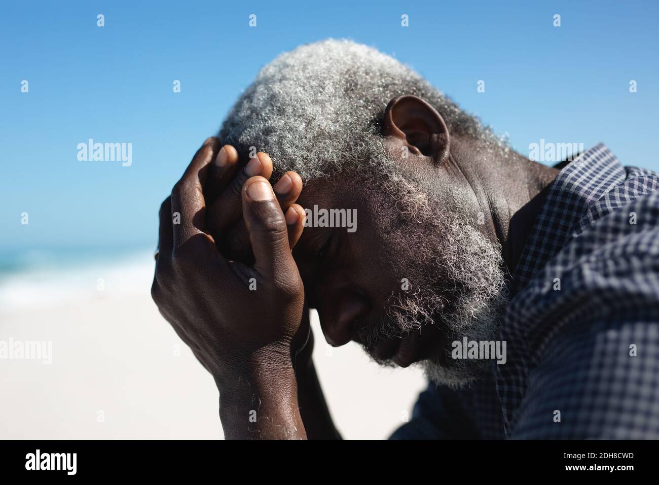 Head old man free hi-res stock photography and images - Alamy