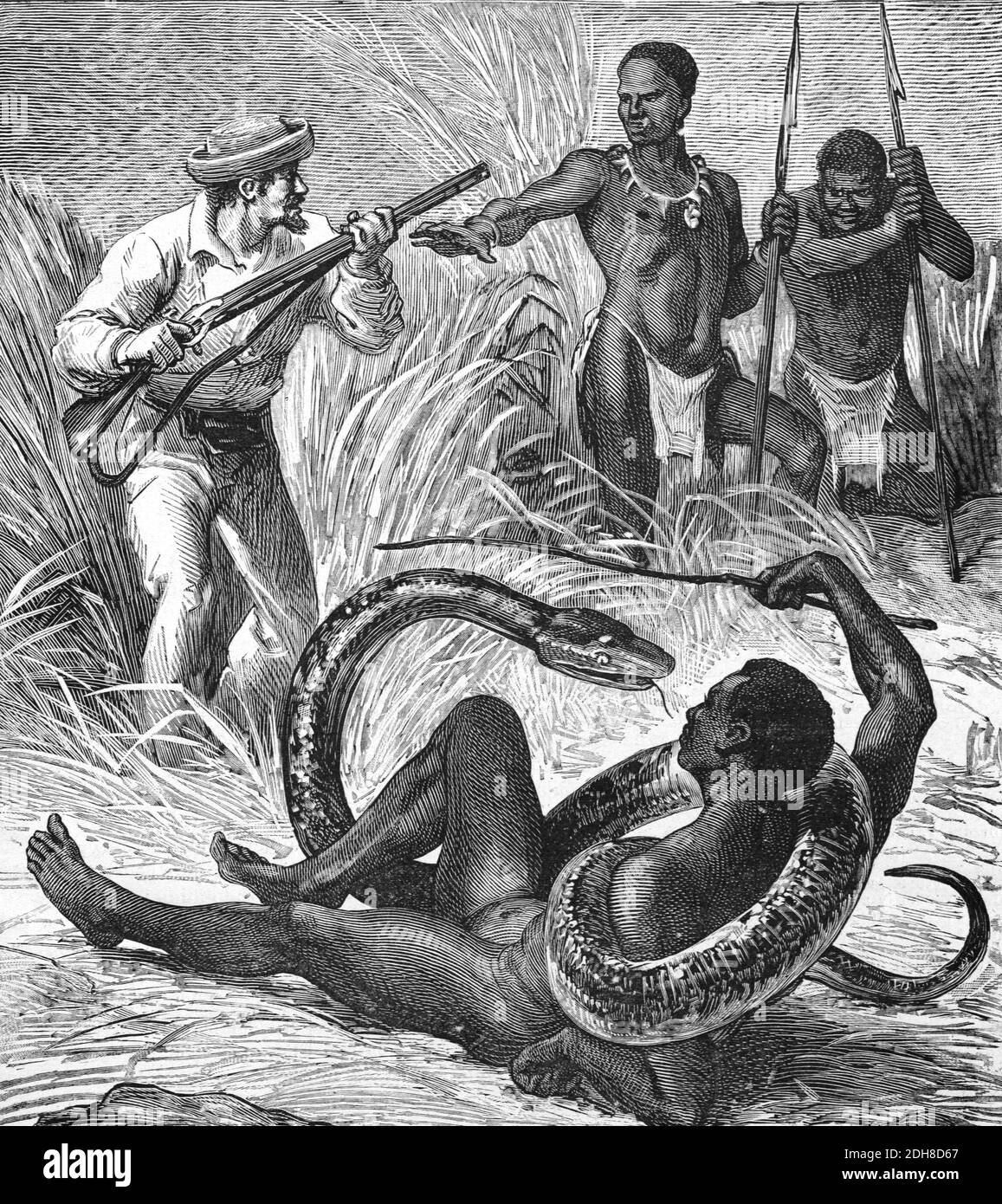 African Man Attacked by Giant Snake & Suffocated by Constriction Africa (Engr 1880) Vintage Illustration or Engraving Stock Photo
