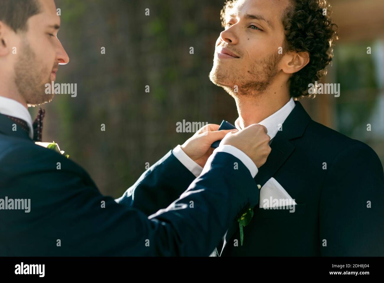 Newlywed man adjusting bow tie of gay partner Stock Photo