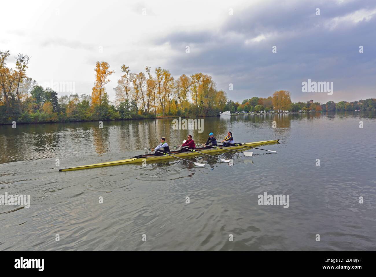 A rowing boat four on the river Main  in Hanau, Hesse, Germany Stock Photo