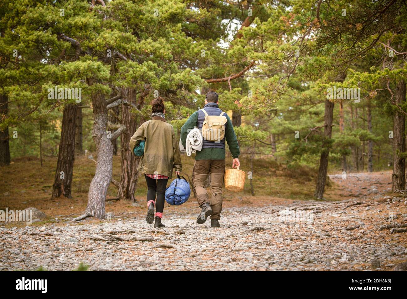 Rear view of couple carrying sleeping bags and basket in forest Stock Photo