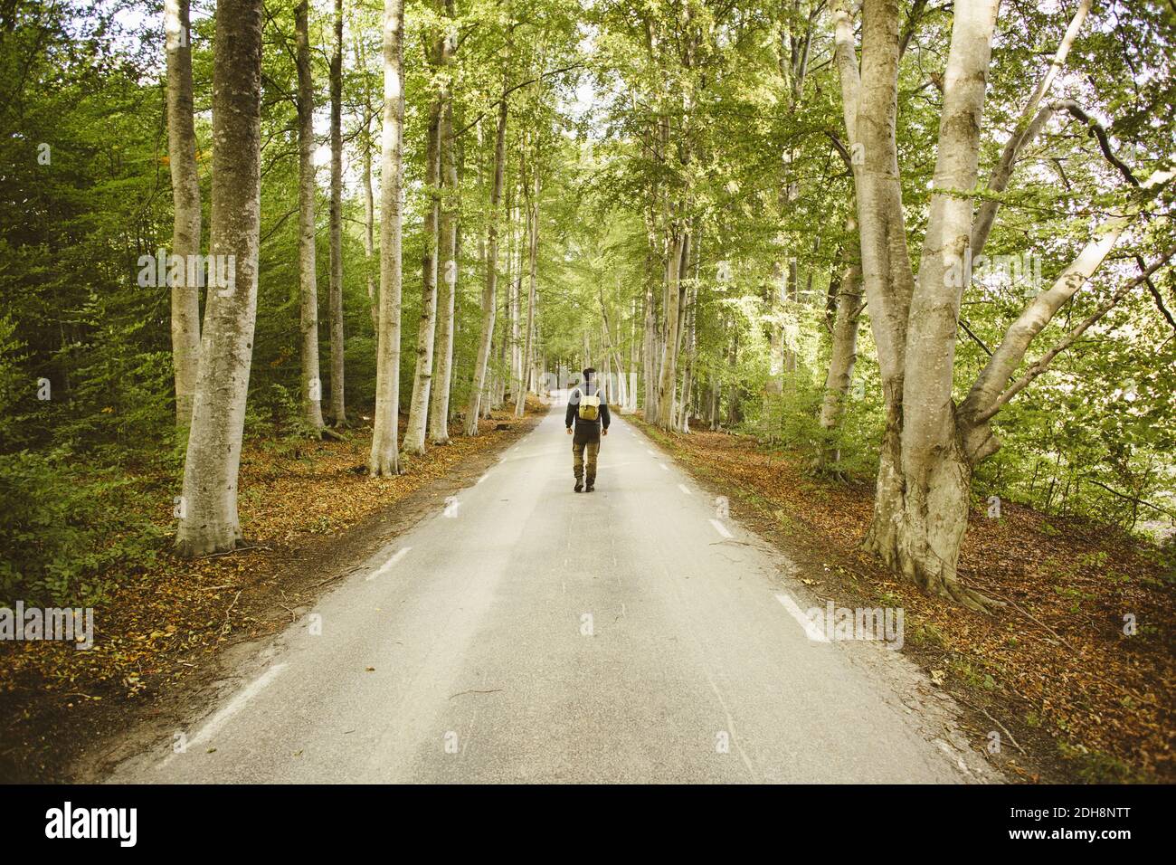 Male hiker walking on hi-res stock photography and images - Alamy