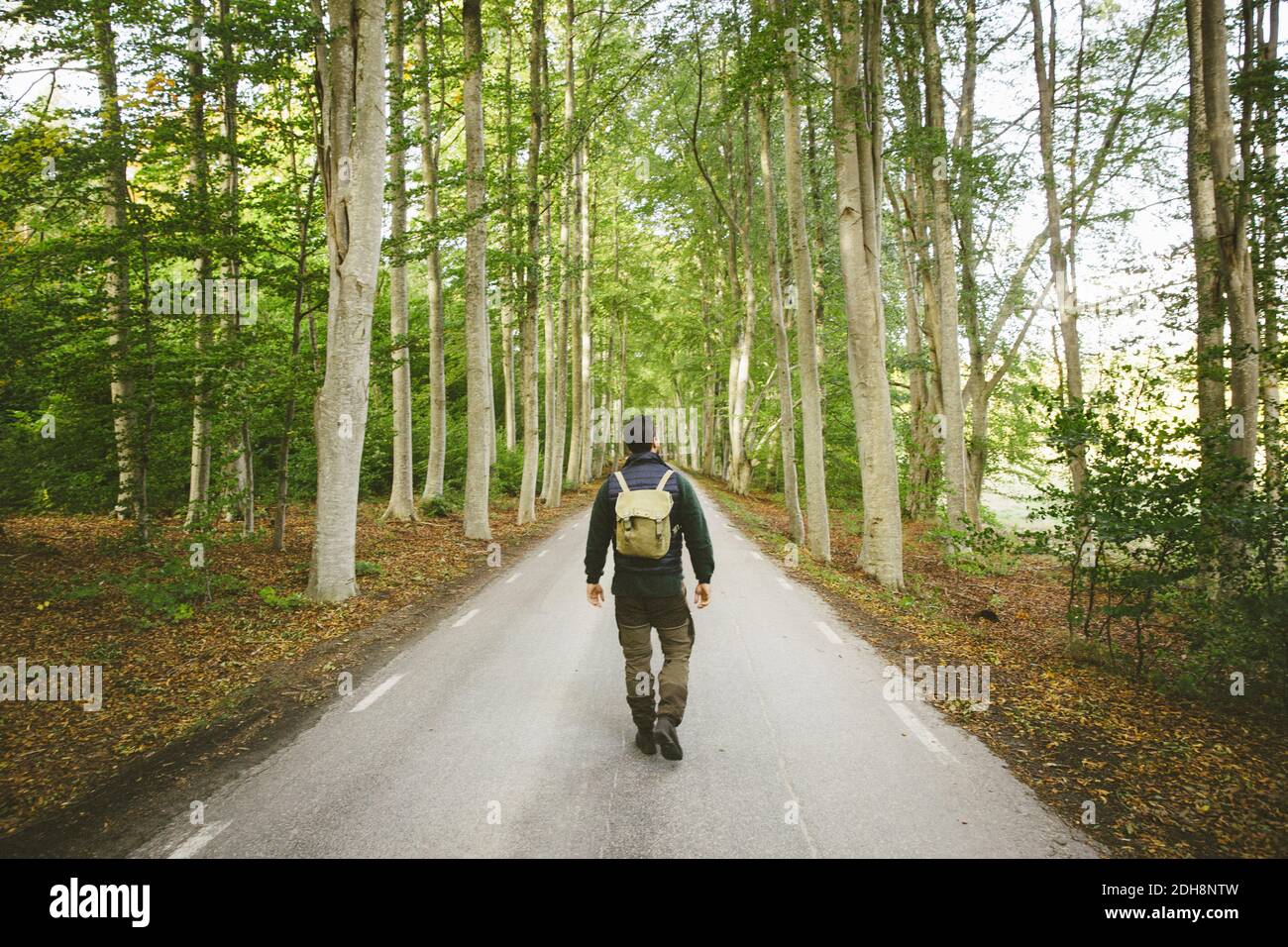 Rear view of hiker walking on road amidst trees Stock Photo