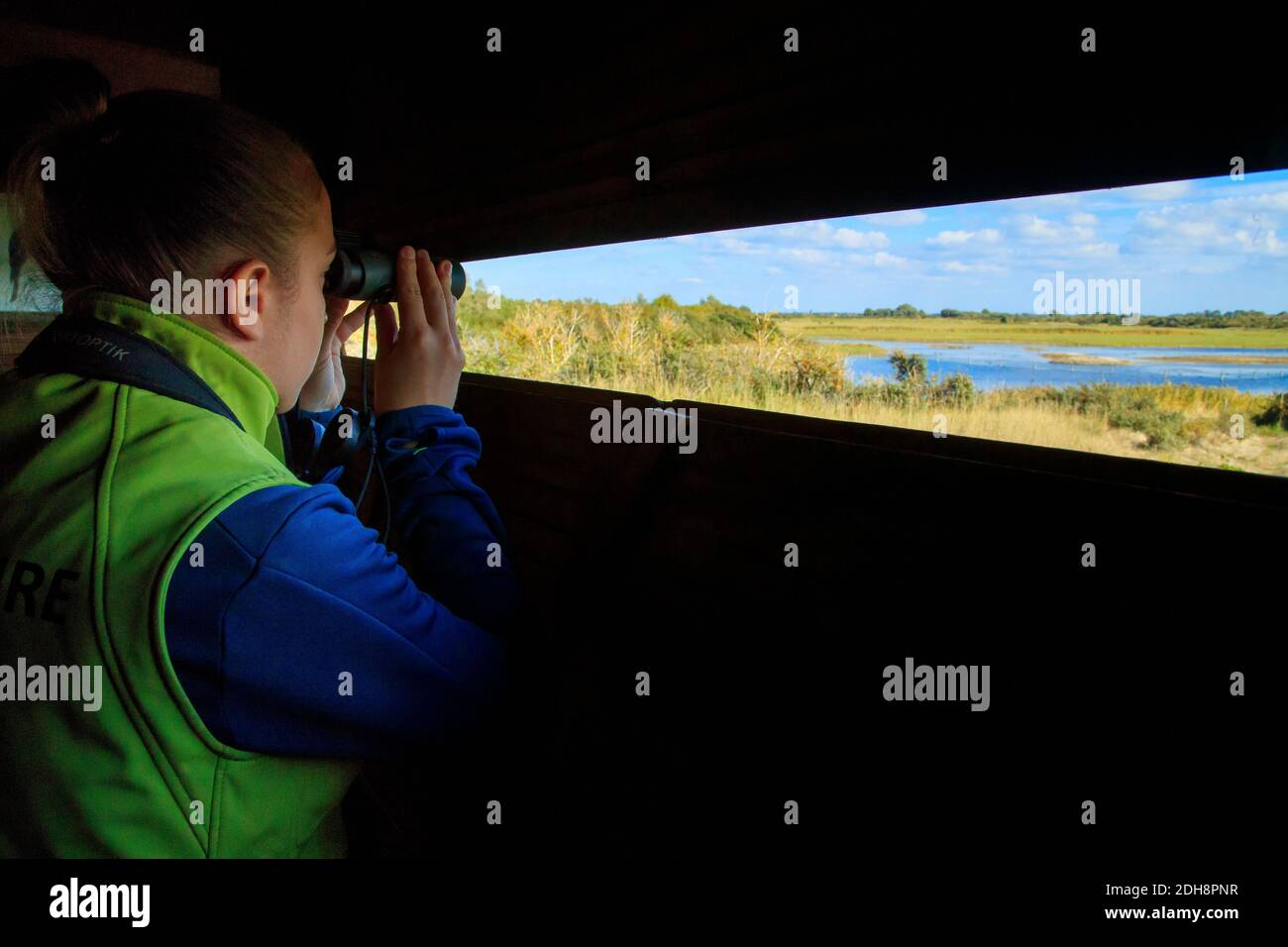 Somme Bay (northern France): bird watching outing in the bird sanctuary “Parc du Marquenterre”, in Saint-Quentin-en-Tourmont. Someone on an observatio Stock Photo