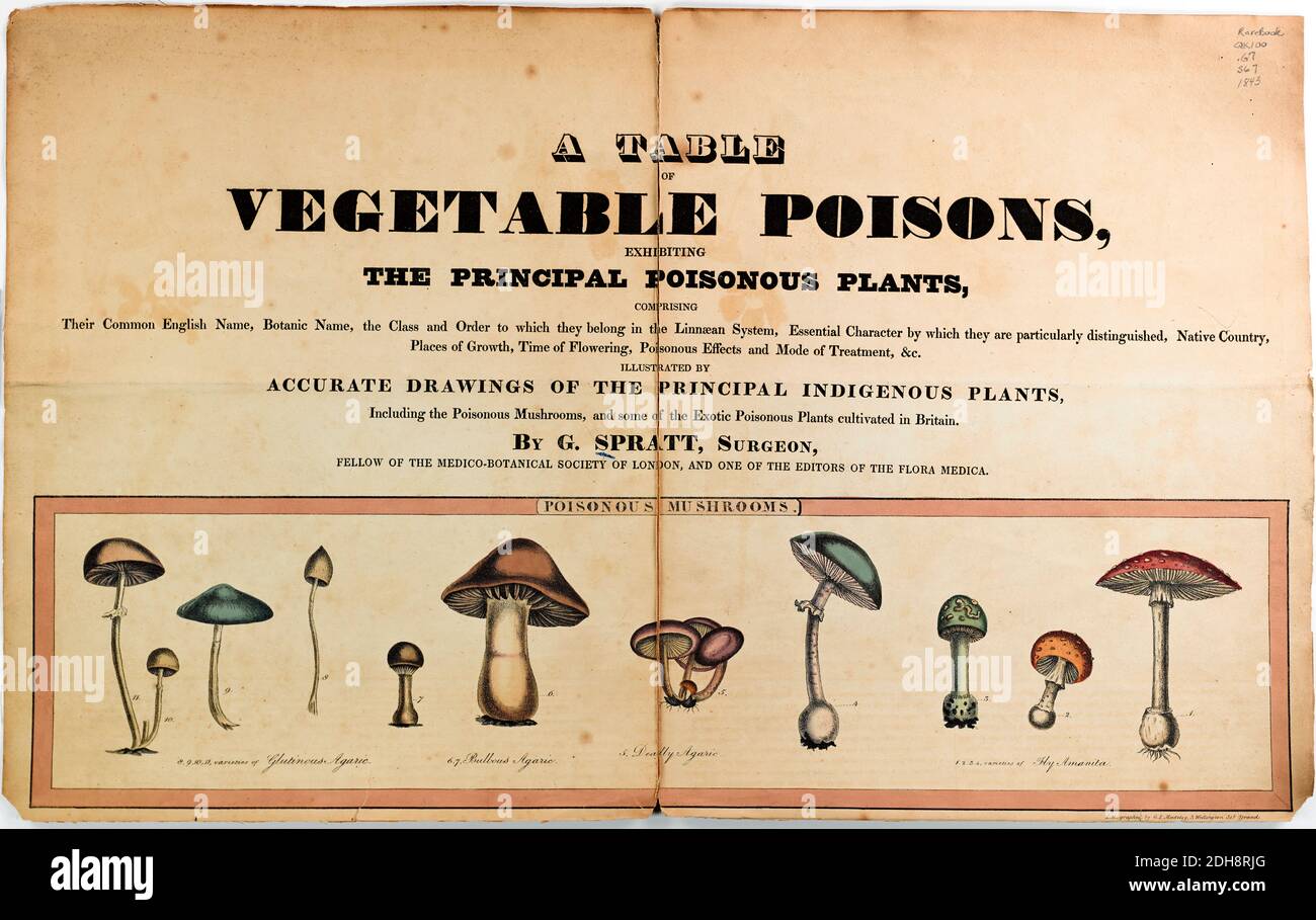 A table of vegetable poisons, exhibiting the principal poisonous plants comprising their common English name, botanic name, the class and order to which they belong in the Linnaean system, essential character by which they are particularly distinguished, native country, places of growth, time of flowering, poisonous effects and mode of treatment, &c. ; illustrated by accurate drawings of the principal indigenous plants, including the poisonous mushrooms, and some of the exotic poisonous plants cultivated in Britain by G. Spratt Published in London in 1843 Stock Photo