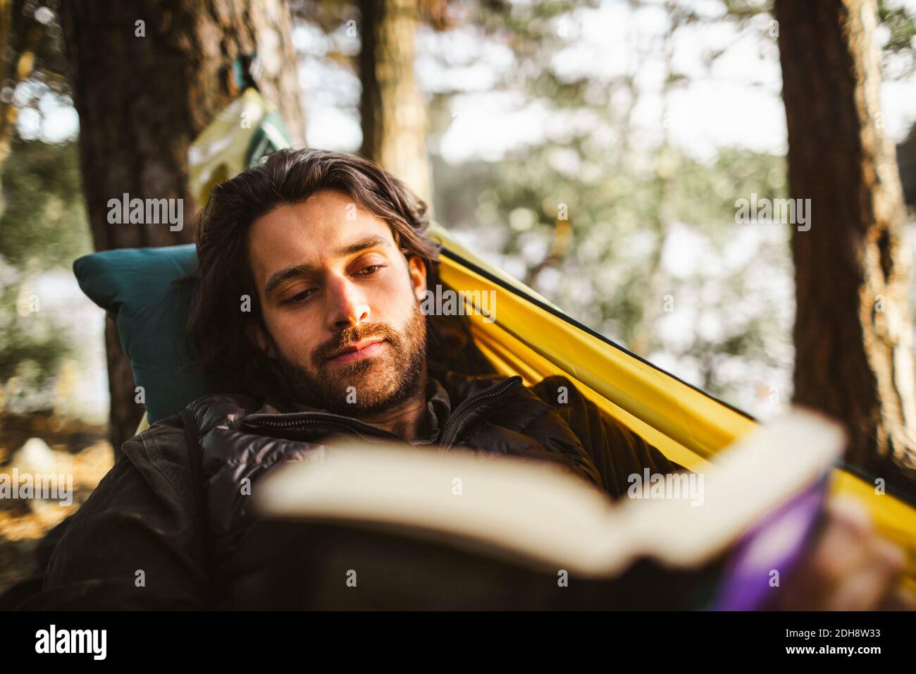Young man reading book while lying on hammock in forest Stock Photo