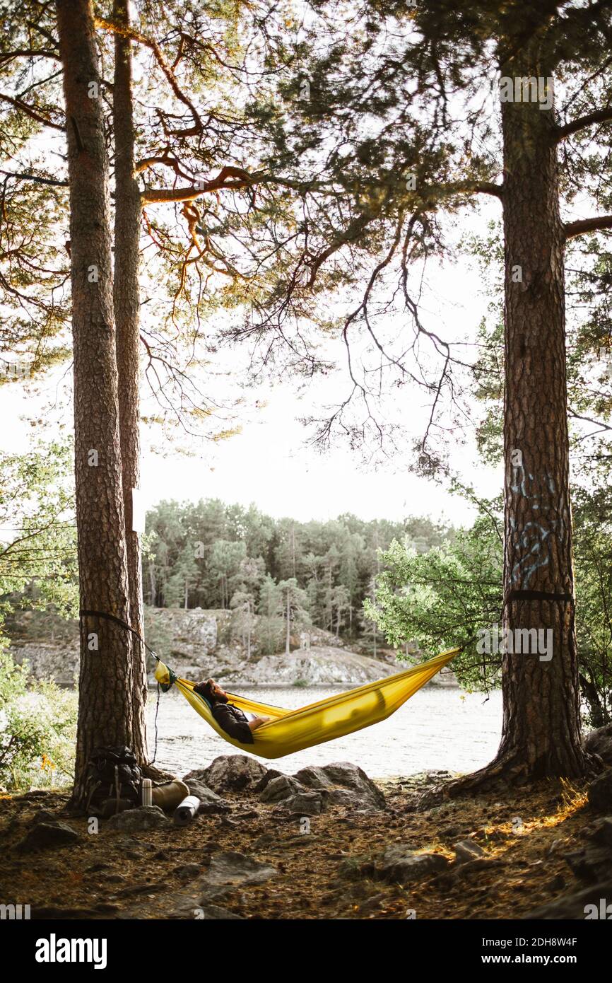 Young man sleeping in hammock in forest Stock Photo