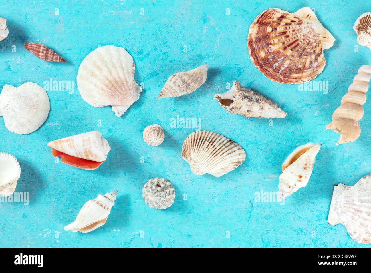 Ocean design with sea shells and a place for text, top shot Stock Photo ...