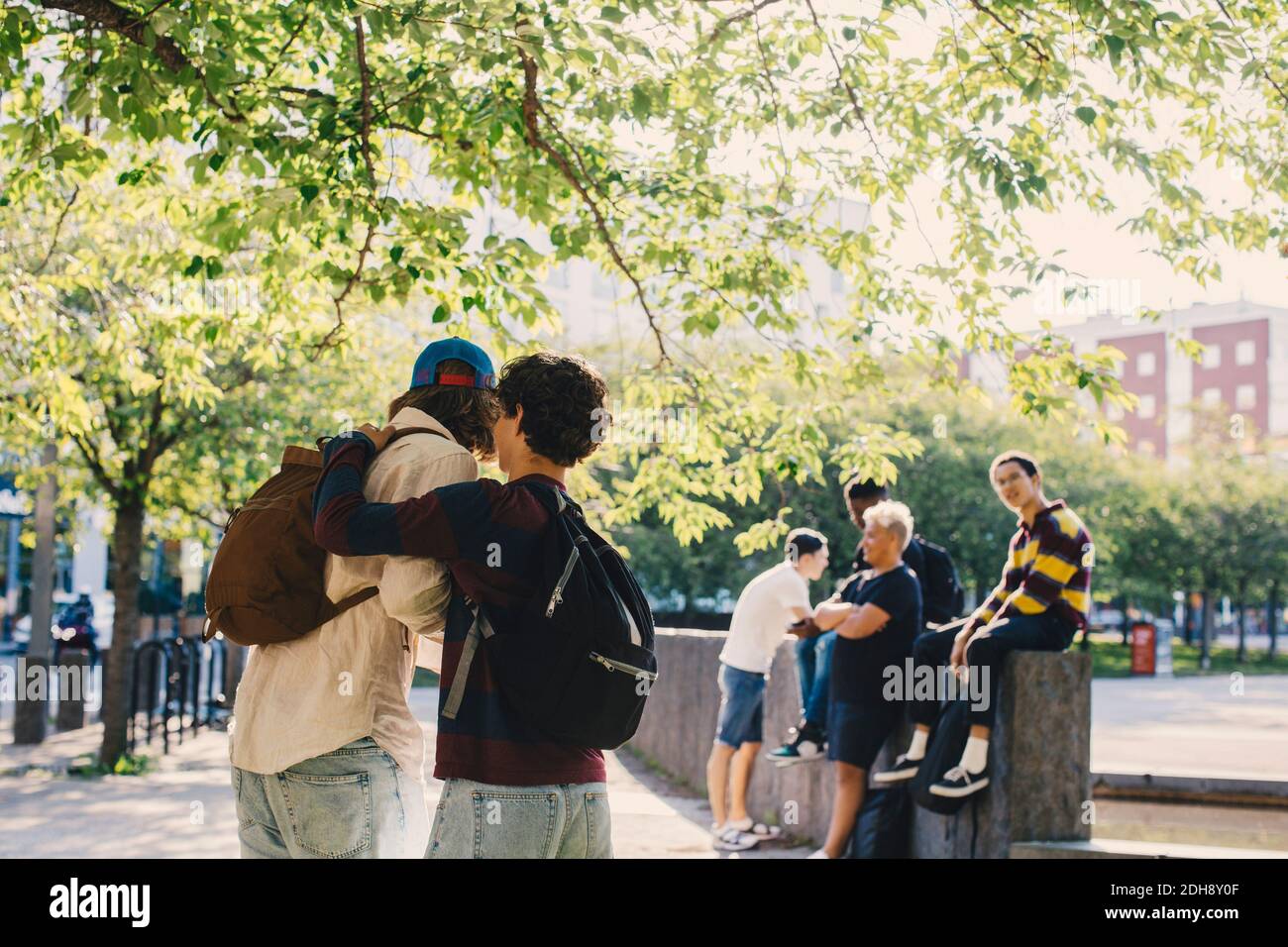 Rear view of male friends gossiping in park Stock Photo