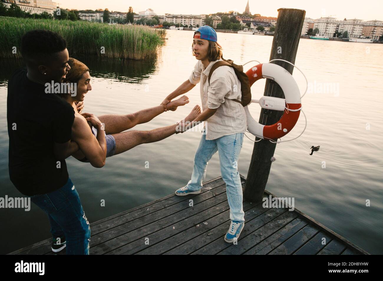 Male friends throwing man in lake while standing on pier during sunset Stock Photo