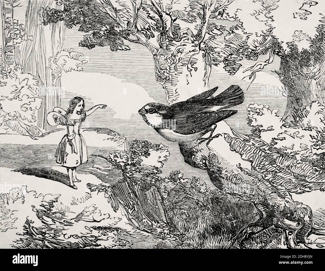 Tiny and her Vanity Fairy Tale from the book 'Fairy tales' by Forrester, Alfred Henry, 1804-1872 [Alfred Henry Forrester (10 September 1804 – 26 May 1872) was an English author, comics artist, illustrator and artist, who was also known under the pseudonym of Alfred Crowquill. Stock Photo