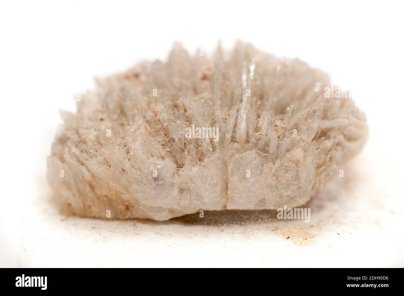 cleavelandite crystal mineral sample, a rare earth mineral Stock Photo