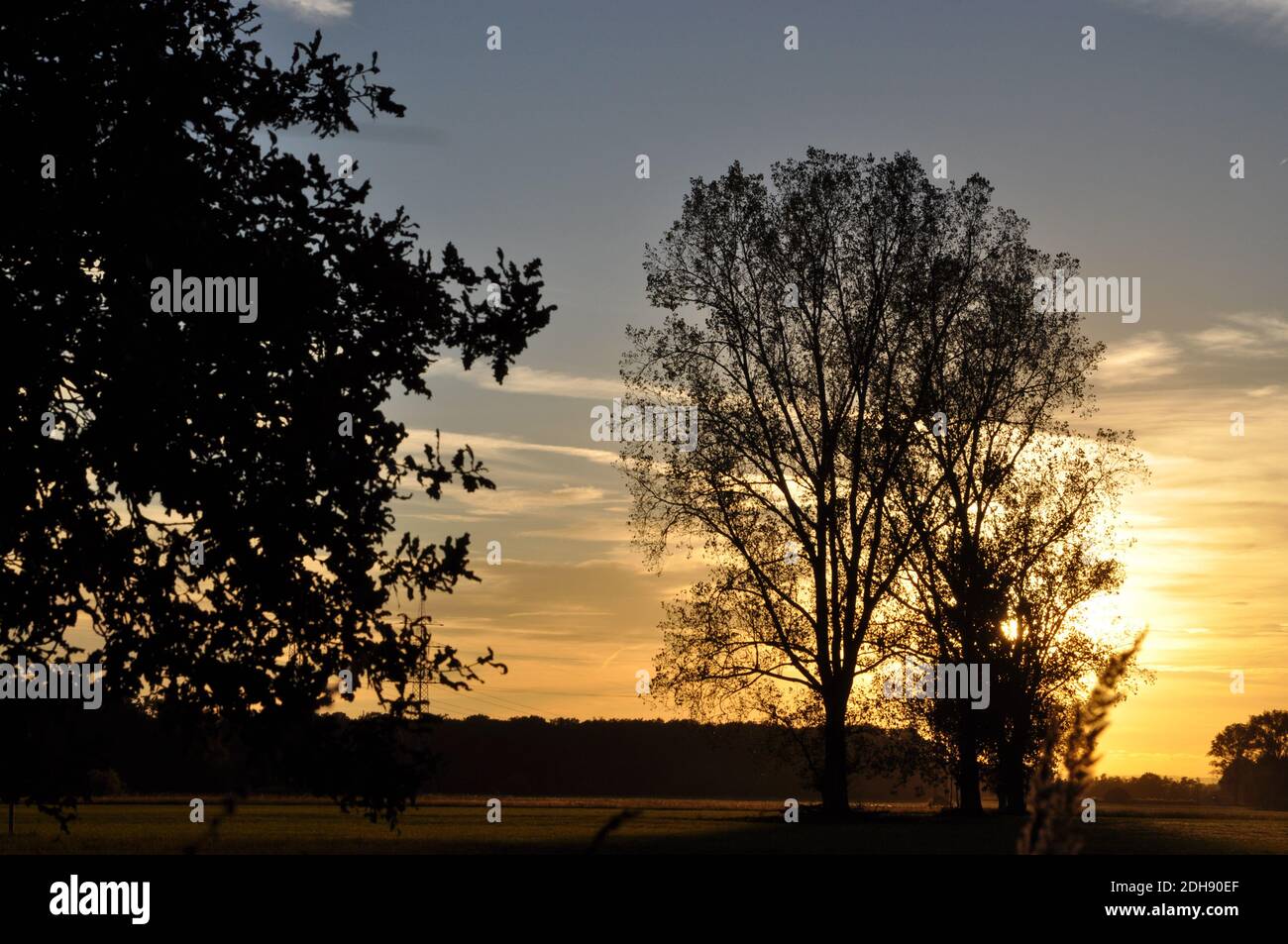 Treeview Sunset Tree at sunset Stock Photo - Alamy
