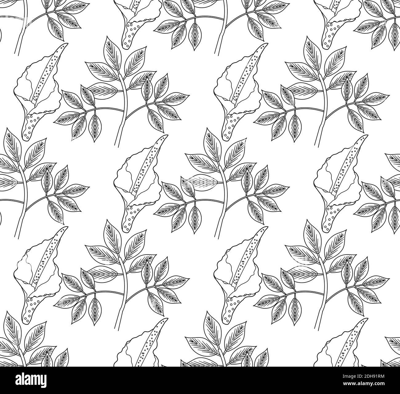 Amorphophallus konjac plant seamless pattern hand drawing outline line style. Konjak repeating texture, endless background. Vector illustration Stock Vector