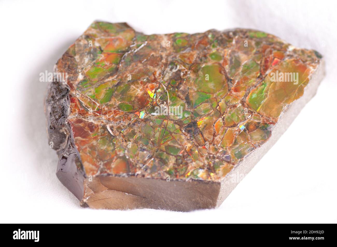 ammonite shard sample, colorful crystal fossil sections Stock Photo
