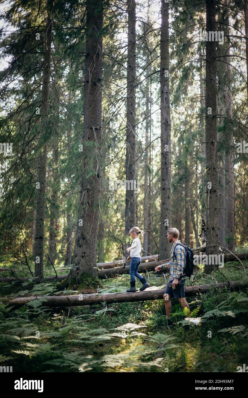Side view of daughter walking over fallen tree by father in forest ...