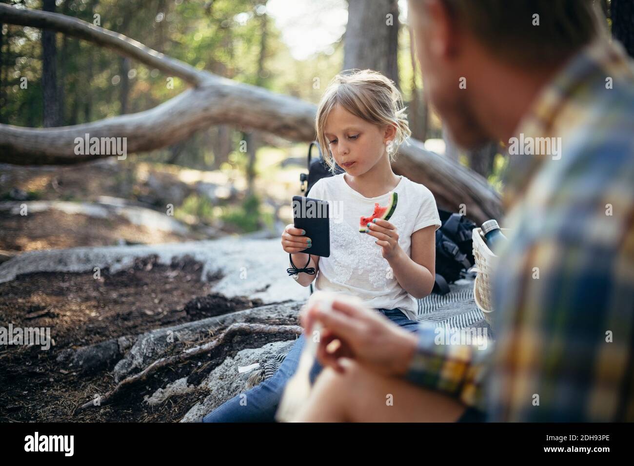 Daughter eating watermelon while using phone by father in forest Stock Photo