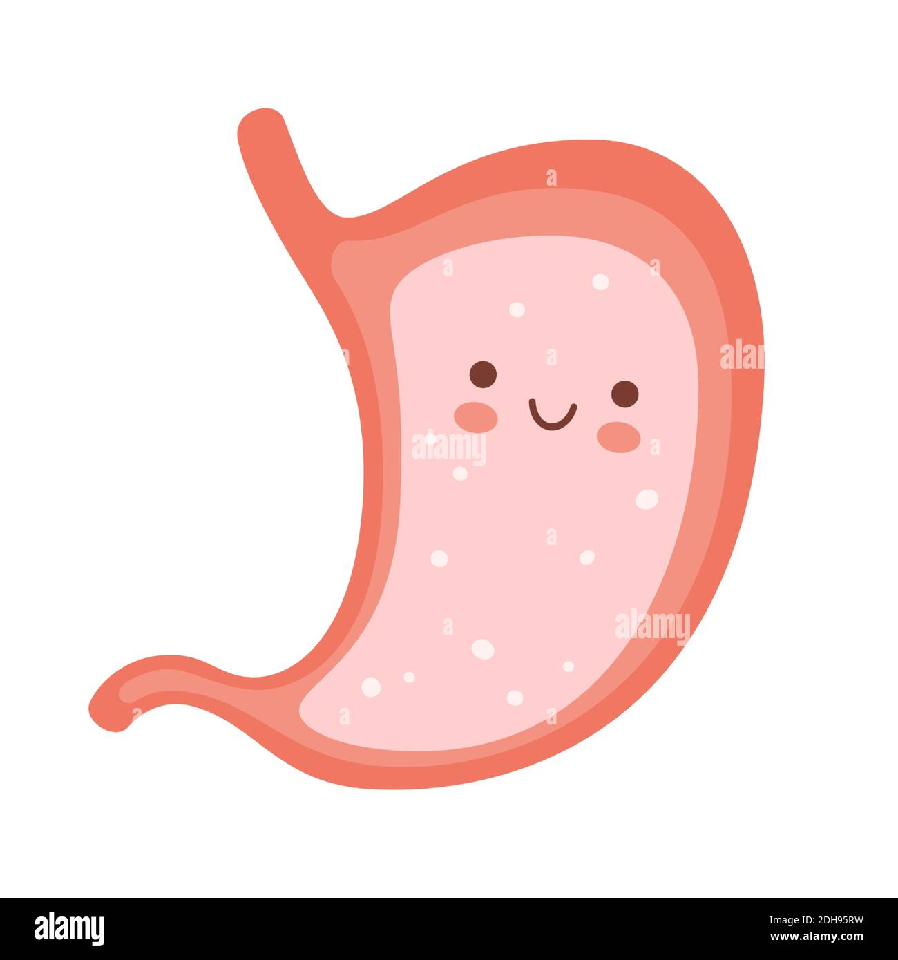Smiling cute stomach character. Symbol of a healthy stomach. Vector flat  cartoon illustration Stock Vector Image & Art - Alamy