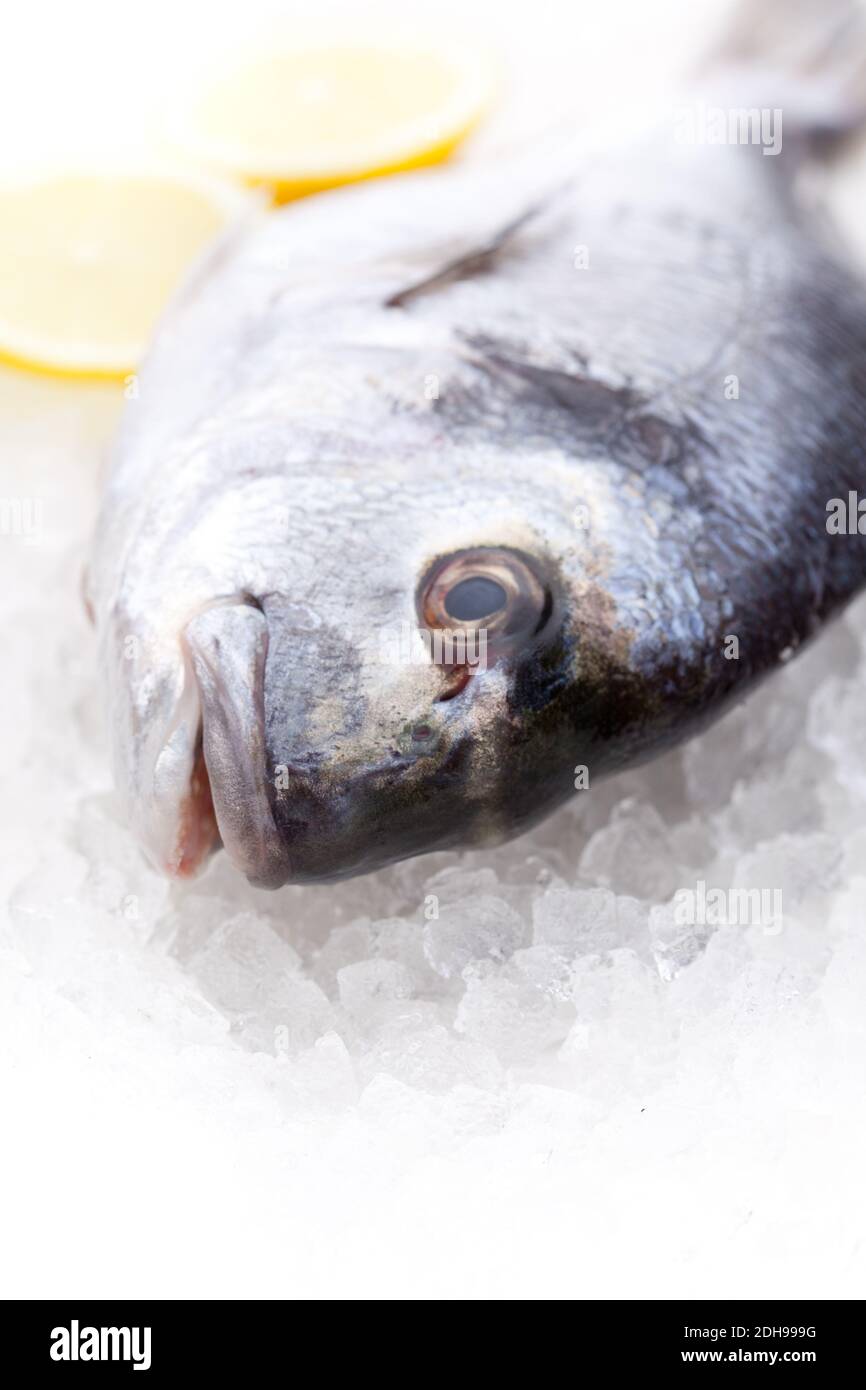 Bream on dry ice with lemon in the background Stock Photo