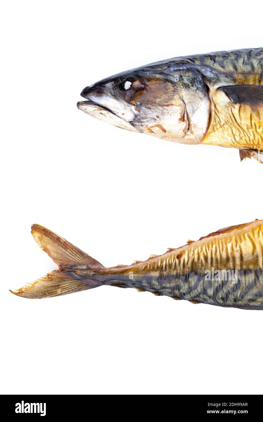 Head and tail of mackerel isolated on white background Stock Photo Alamy