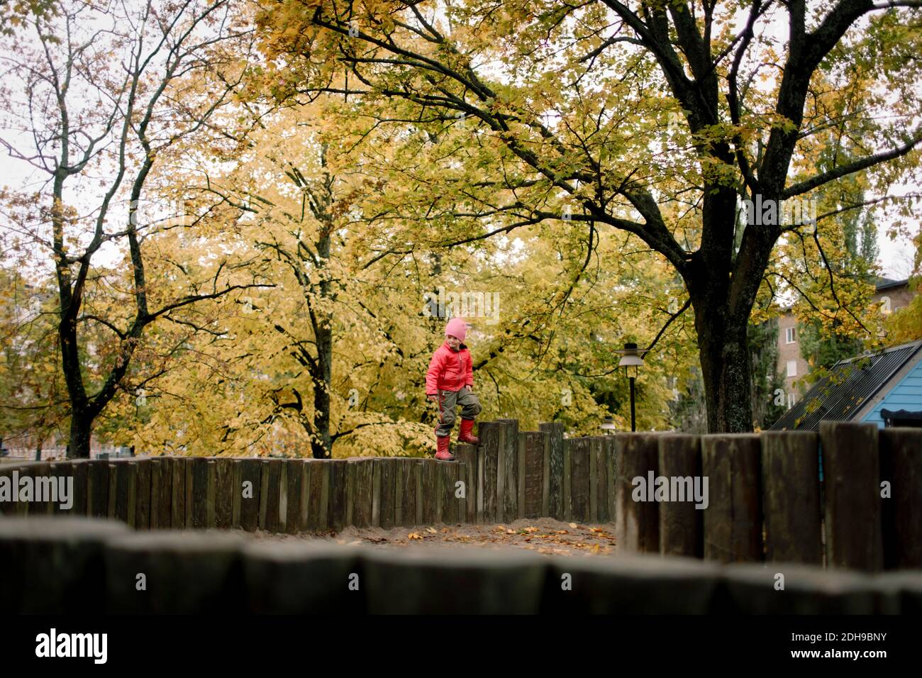 Boy standing on wooden fence against autumn trees Stock Photo