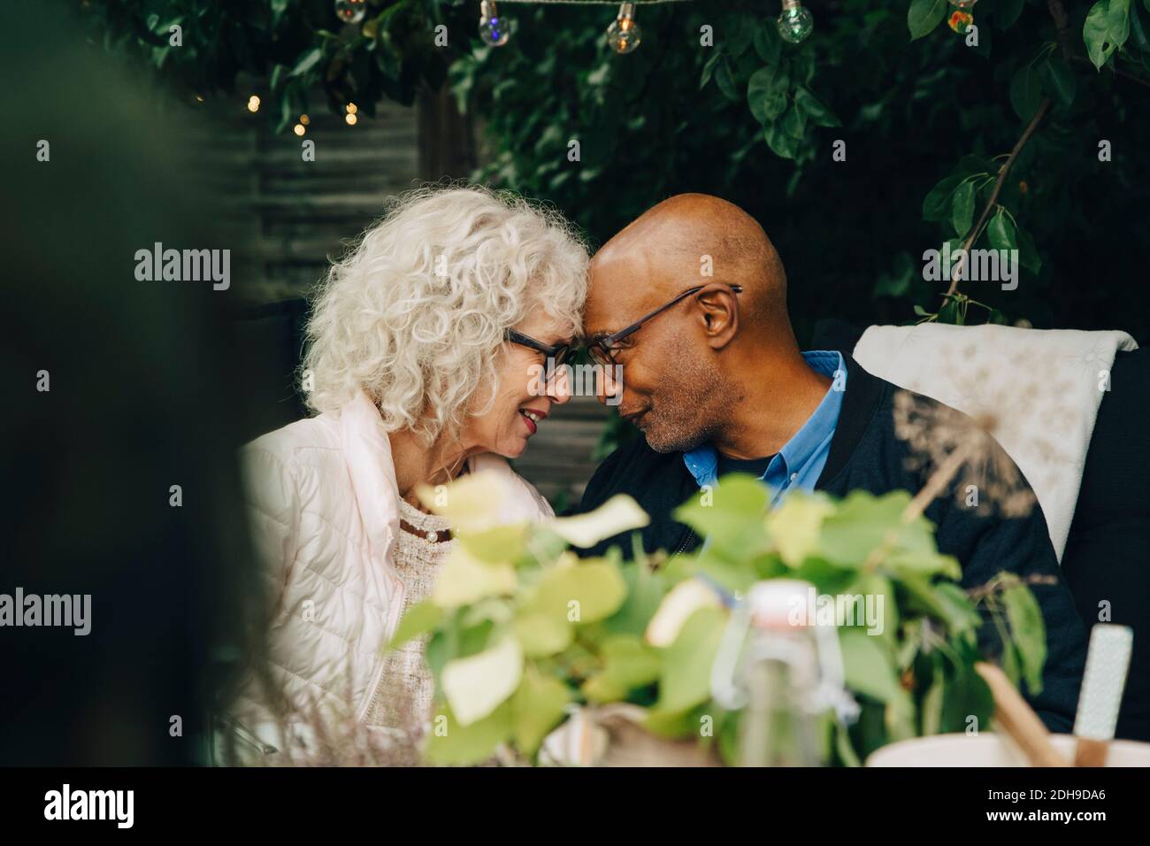 Senior female and male friends sitting face to face during garden party in back yard Stock Photo