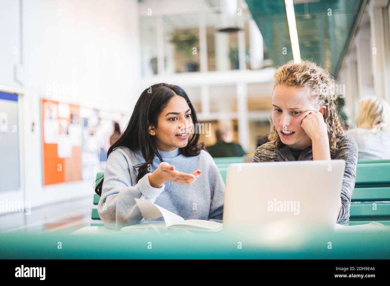 Young female students discussing while studying in cafeteria at university Stock Photo