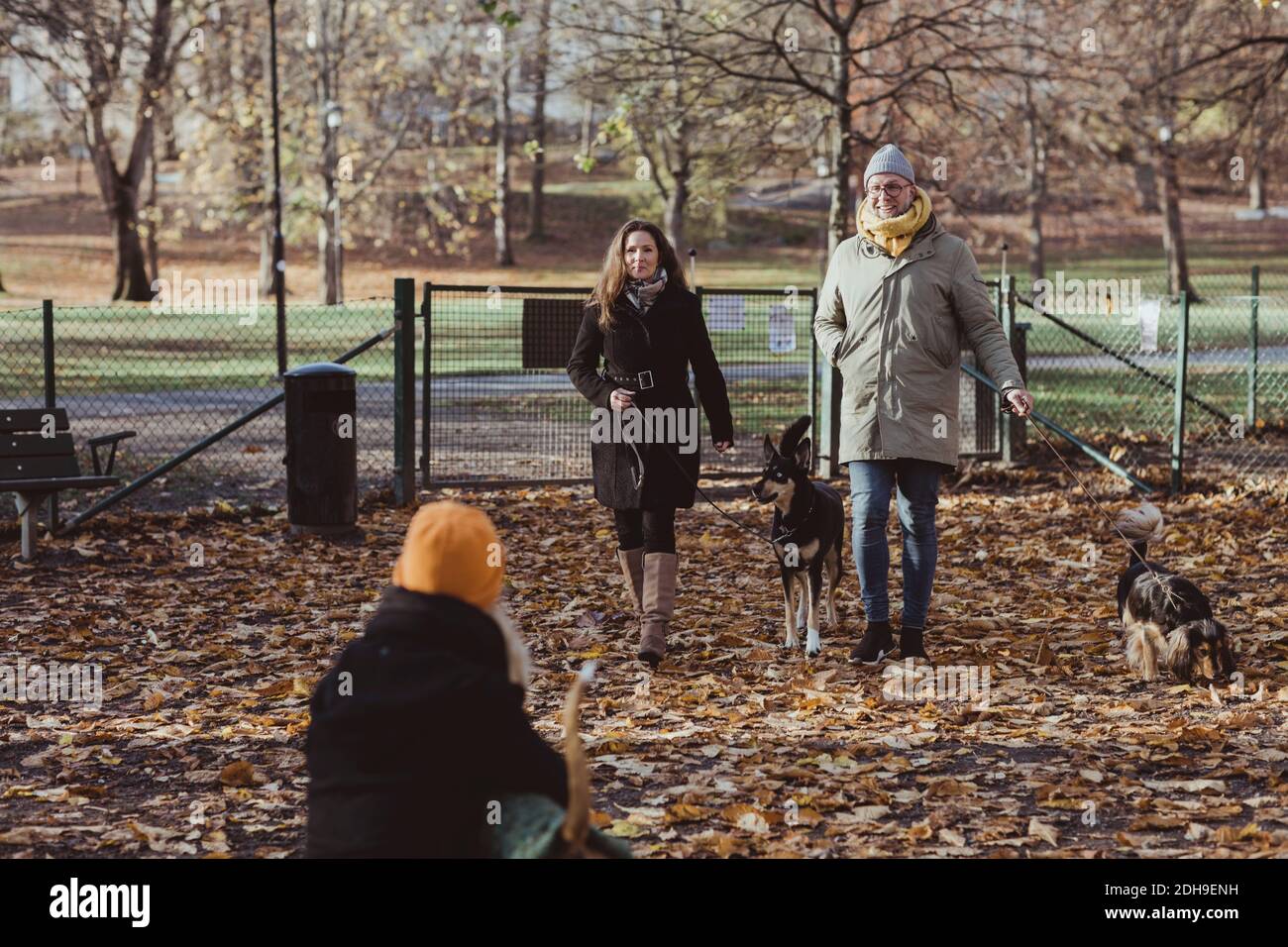 Full length smiling male and female pet owners walking with dogs at park Stock Photo