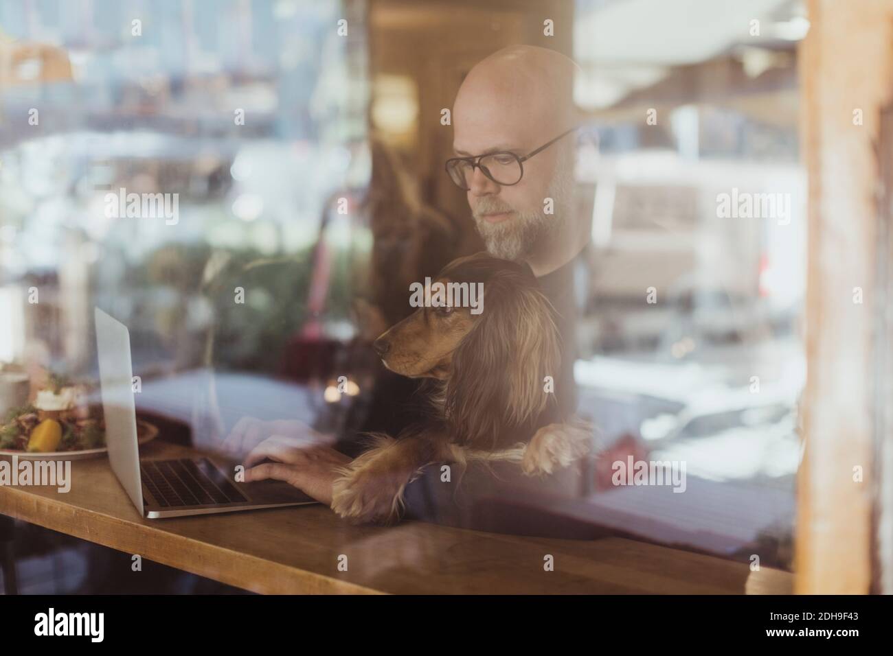 Bald man using laptop while sitting with dog at cafe seen through window Stock Photo