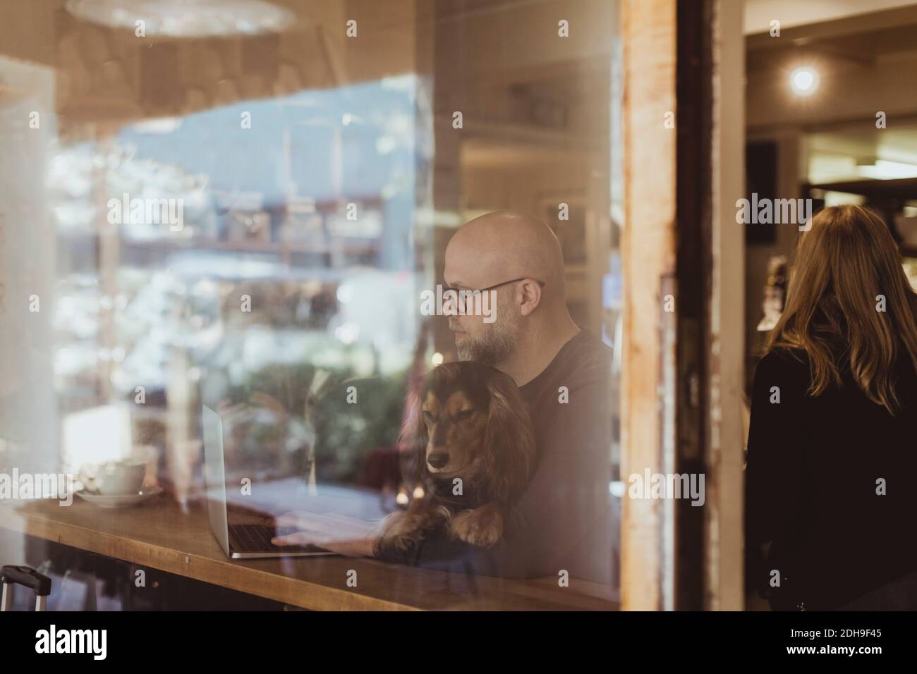 Bald man sitting with dog while using laptop seen through cafe window Stock Photo