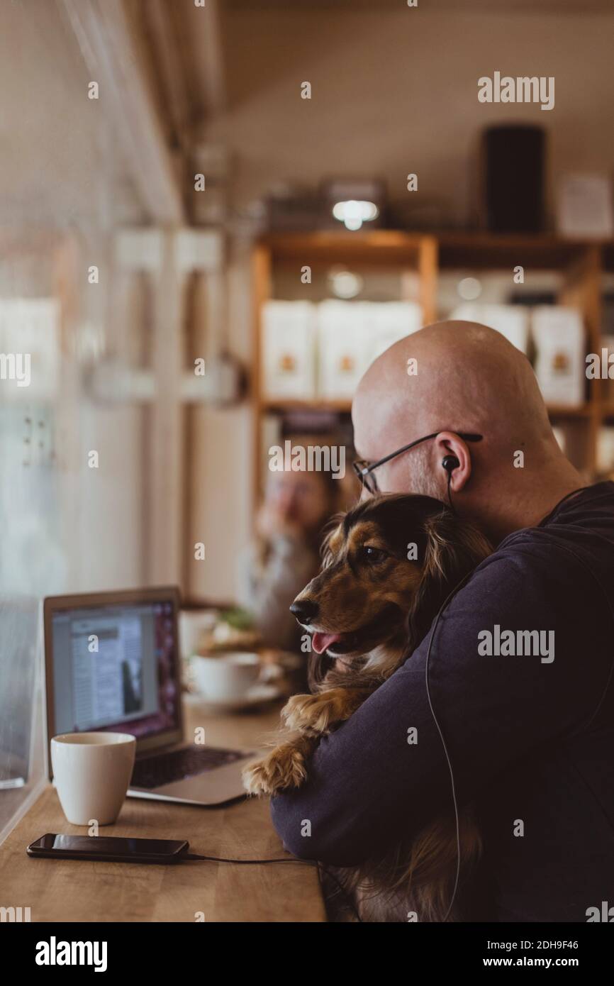 Bald man sitting with dog while using laptop at cafe Stock Photo