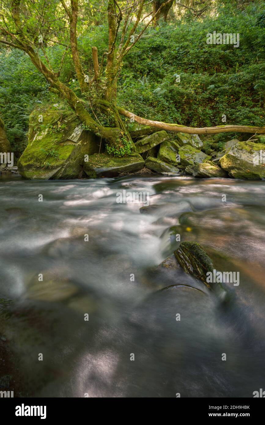 Bank of the enchanted river hi-res stock photography and images - Alamy