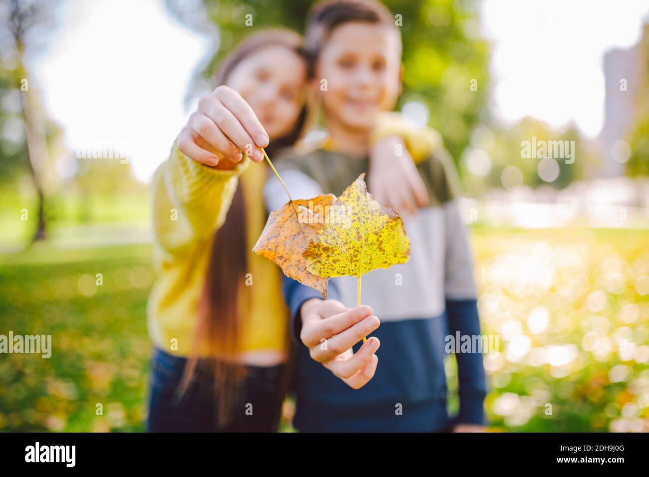 Happy Twins Teenagers Boy And Girl Posing Hugging Each Other In Autumn Park Holding Fallen Yellow Leaves In Hand In Sunny Weathe Stock Photo Alamy Happy Twins Teenagers Boy And Girl Posing Hugging Each Other In Autumn Park Holding Fallen Yellow Leaves In Hand In Sunny Weathe Stock Photo Alamy